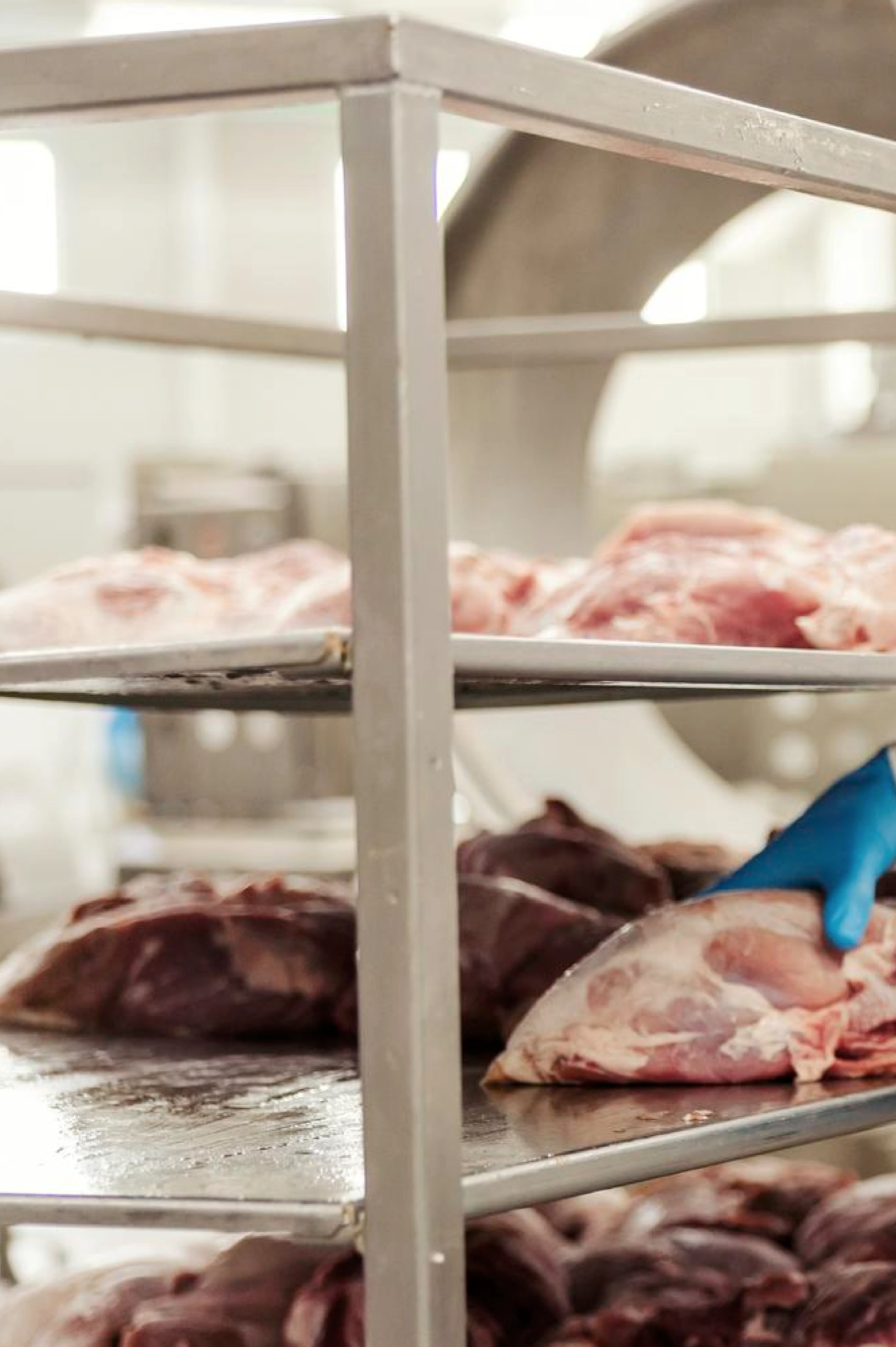 Gestión de la Seguridad en el Sector Alimenticio