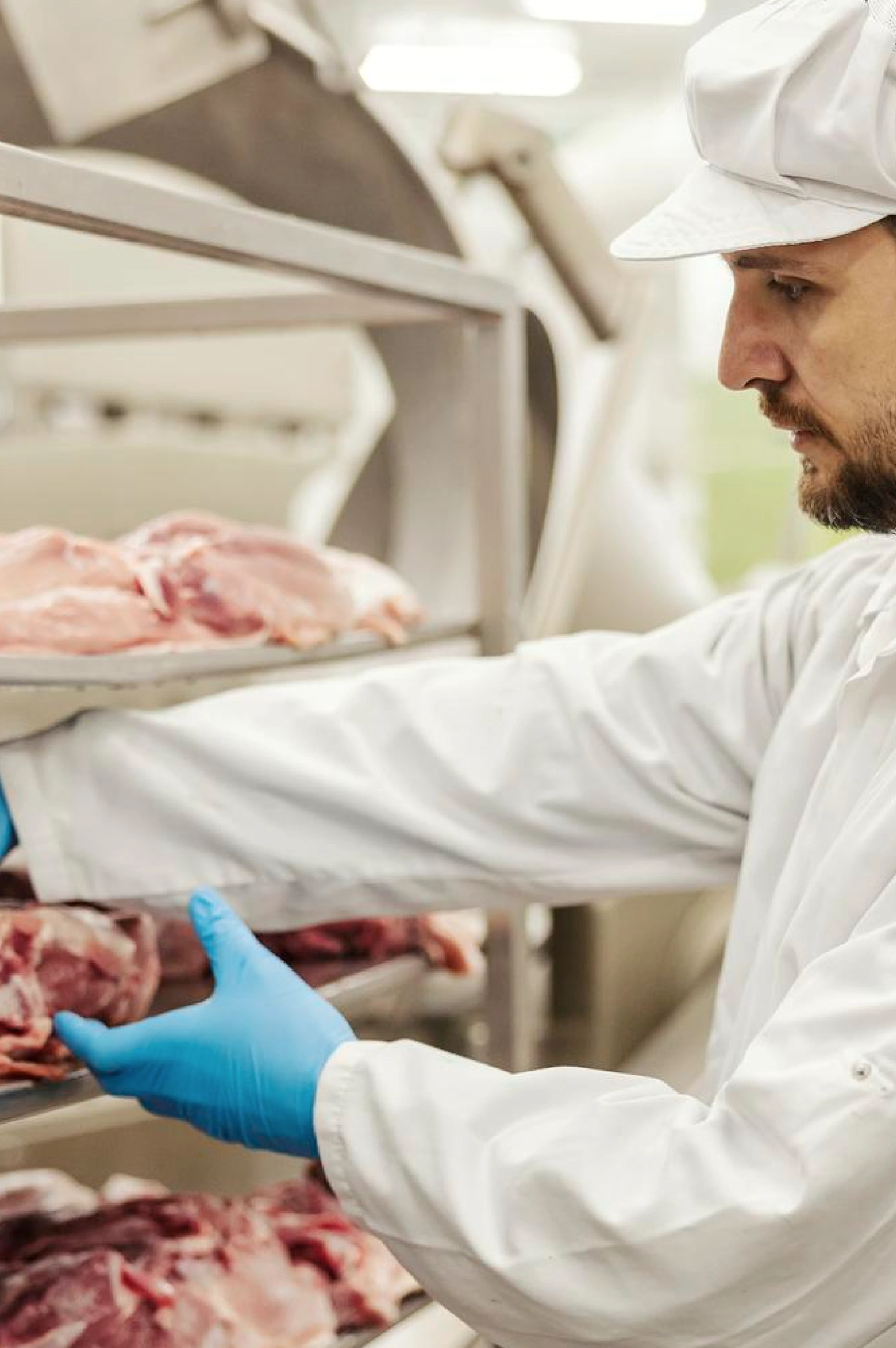 Gestión de la Seguridad en el Sector Alimenticio