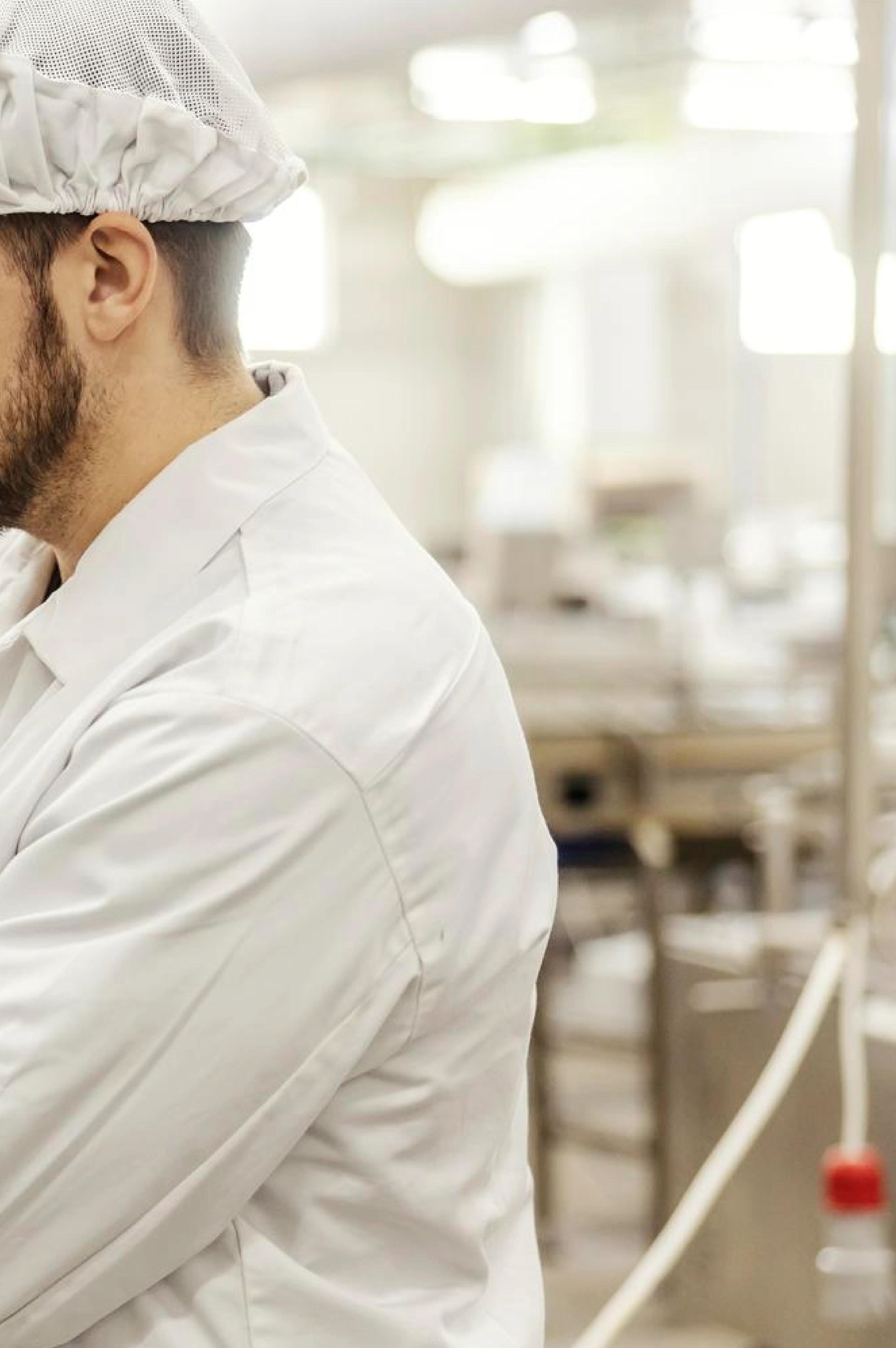 Gestión de la Seguridad en el Sector Alimenticio