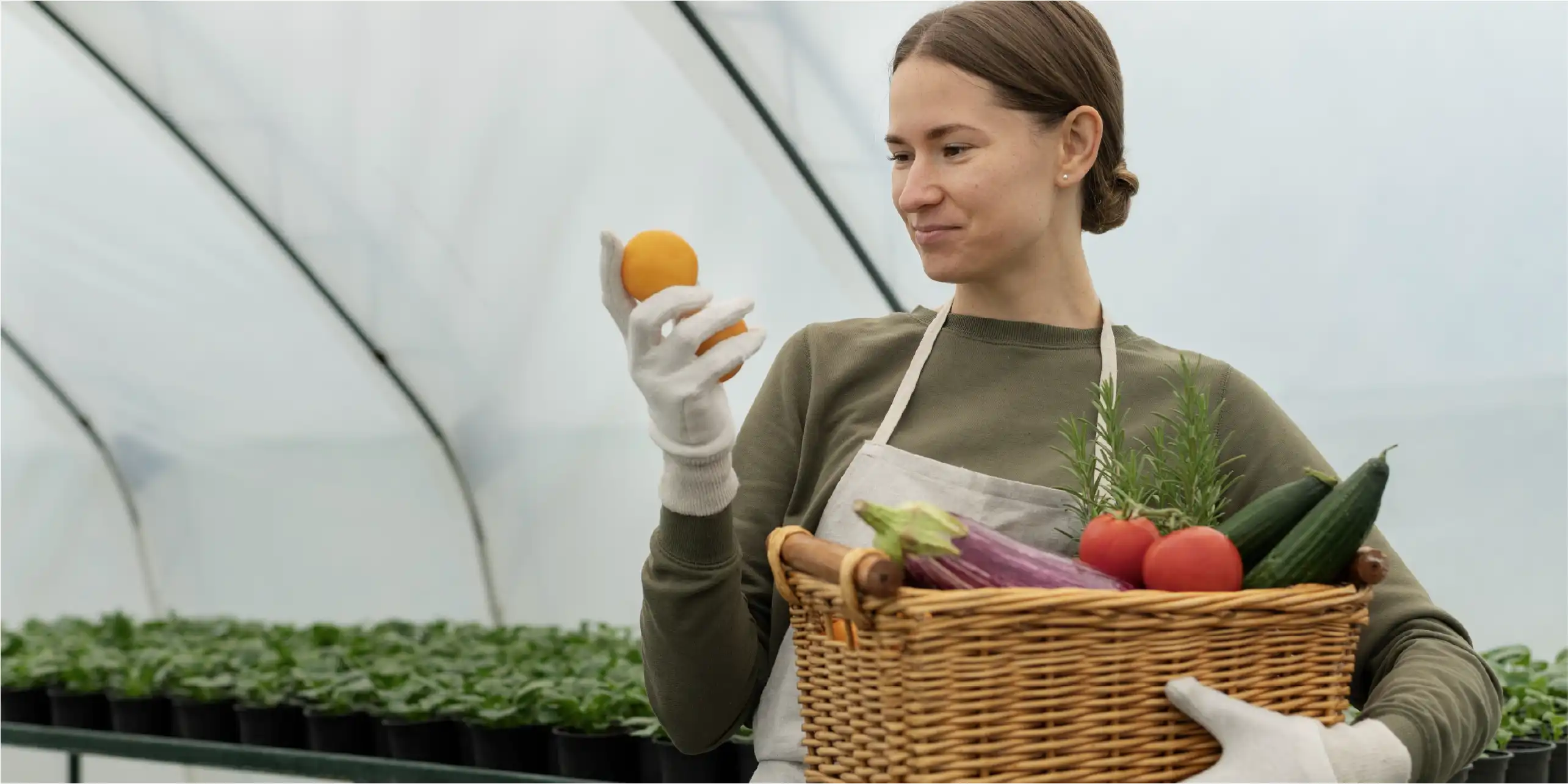 Sostenibilidad 360° en la Industria Alimentaria